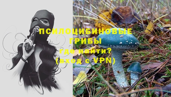 винт Александровское