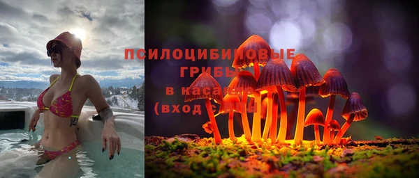 ГАЛЛЮЦИНОГЕННЫЕ ГРИБЫ Кущёвская