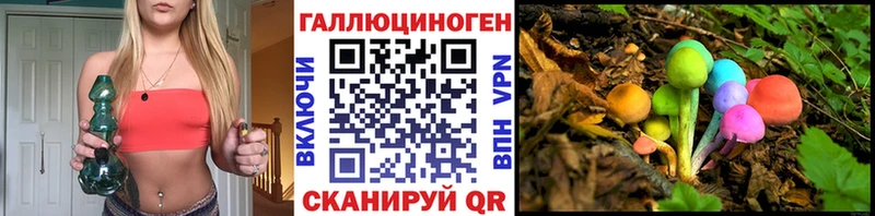 Псилоцибиновые грибы Psilocybine cubensis Томск