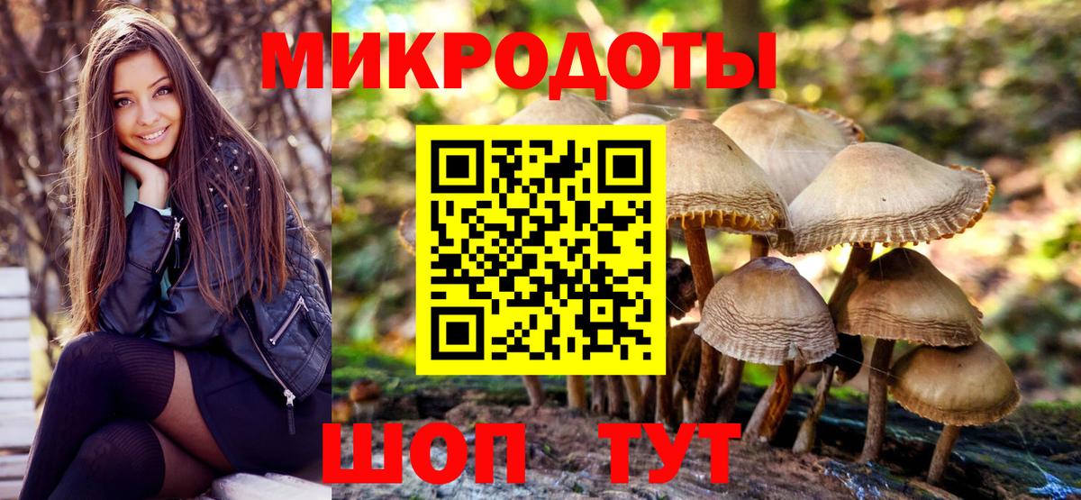Галлюциногенные грибы Psilocybe Россия