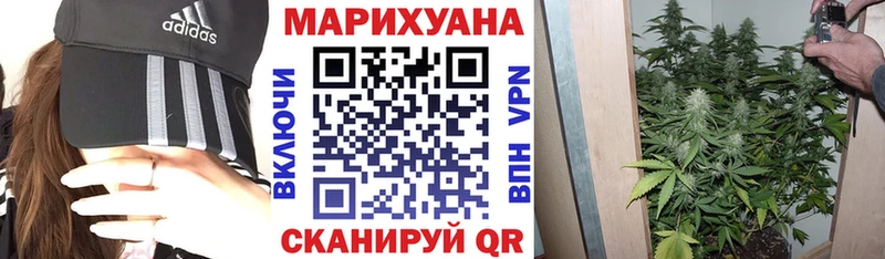 Канабис сатива Томск