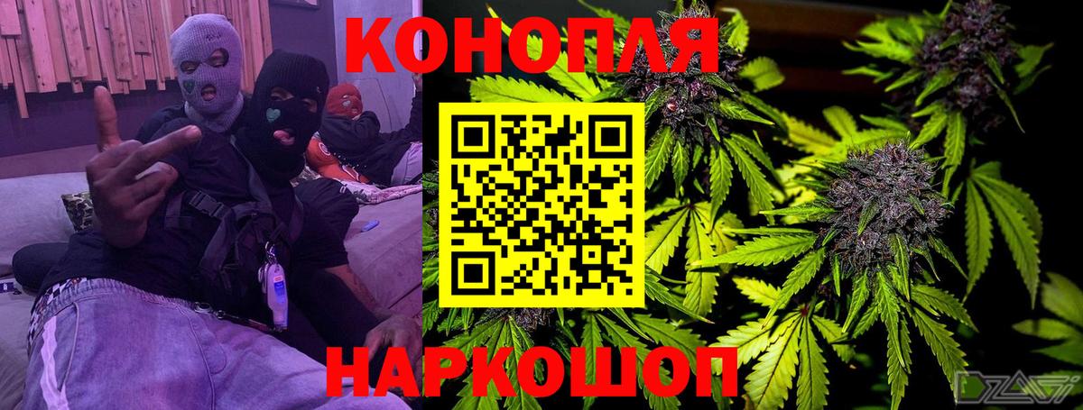 Каннабис гибрид Россия